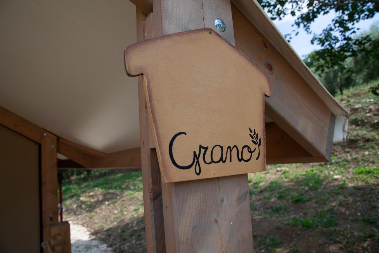 Agriturismo Podere Prataccio Grosseto Dış mekan fotoğraf